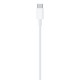 Câble data Apple origine USB-C  vers Lightning 1 mètre