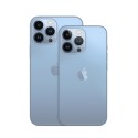 Apple iPhone 13 Pro 256Go