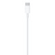 Câble data Apple origine USB-C  vers Lightning 2 mètres